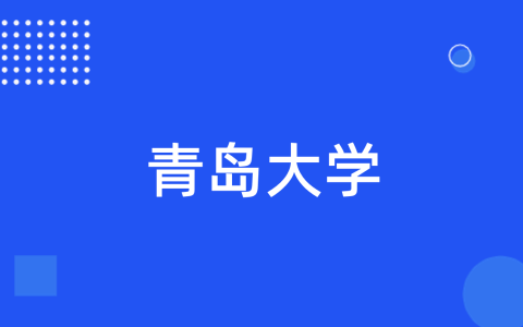 青岛大学2023年本科综合评价招生章程