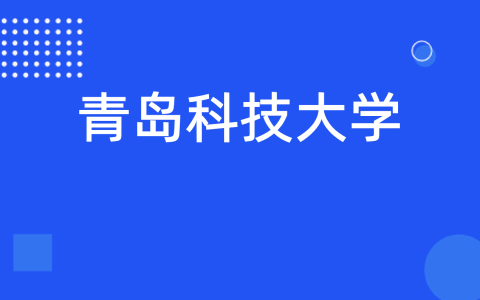 青岛科技大学2022年综合评价录取分数线