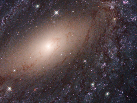 06奥特曼环游世界